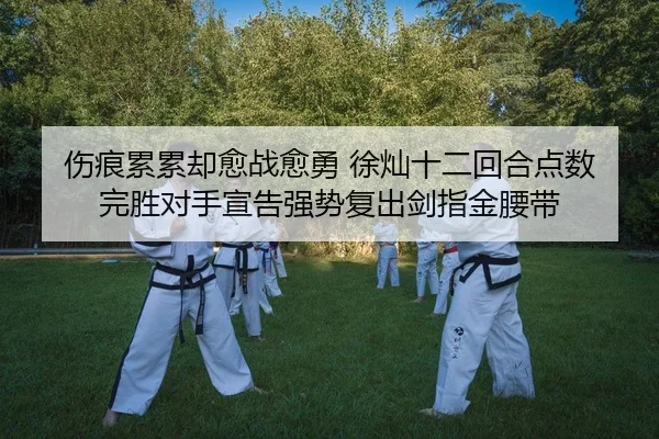 伤痕累累却愈战愈勇 徐灿十二回合点数完胜对手宣告强势复出剑指金腰带